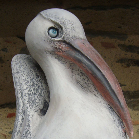 Image du stage 07/02/2026 10:00